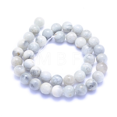 Natural Grey Moonstone Beads Strands G-I279-C01-10mm-1