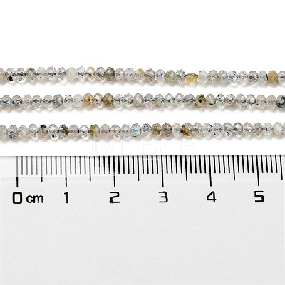Natural Labradorite Beads Strands G-F759-01-1