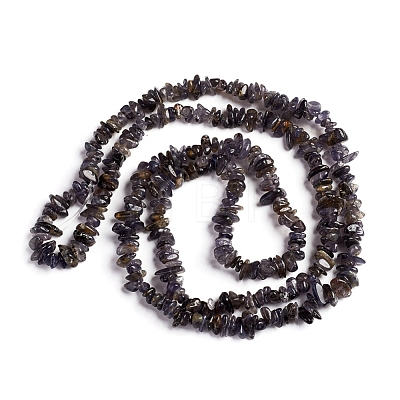 Natural Iolite Beads Strands G-D0002-C48-1