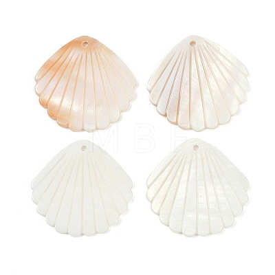 Natural Freshwater Shell Pendants SHEL-K006-45B-1