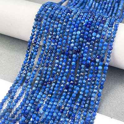 Natural Lapis Lazuli Beads Strands G-L587-A03-01-1