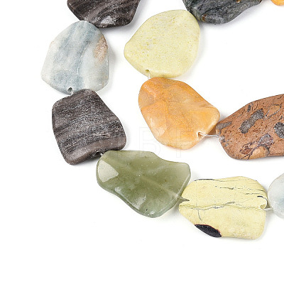 Natural Gemstone Beads Strands G-T143-20B-1