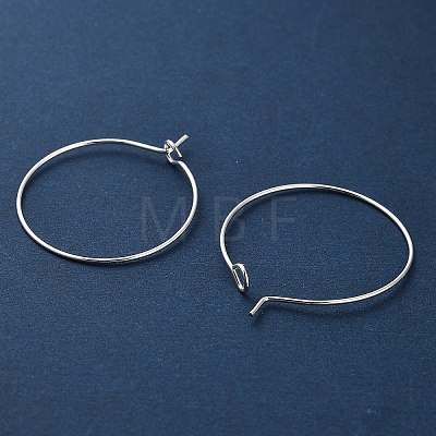 Iron Earring Findings IFIN-R211-01S-1