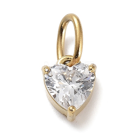 316 Stainless Steel Micro Pave Cubic Zirconia Charms ZIRC-P108-01G-D-1