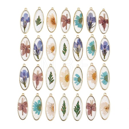 Alloy Epoxy Resin Pendants FIND-Z114-01G-03-1