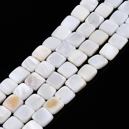 Natural Freshwater Shell Beads Strands SHEL-N026-209-1