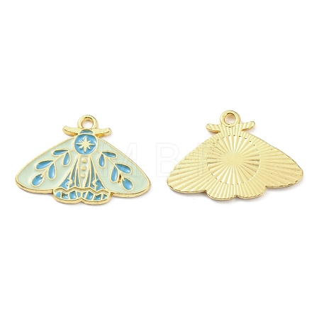 Alloy Enamel Pendants LS-X-ENAM-D051-02G-1