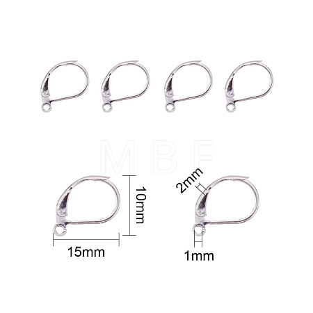 304 Stainless Steel Leverback Earring Findings STAS-L190-14S-1