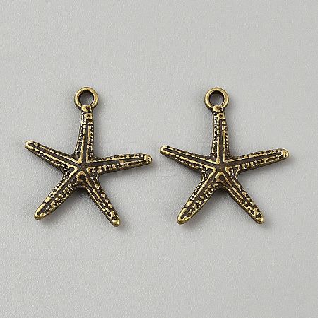Tibetan Style Alloy Pendants FIND-WH0173-156C-AB-1