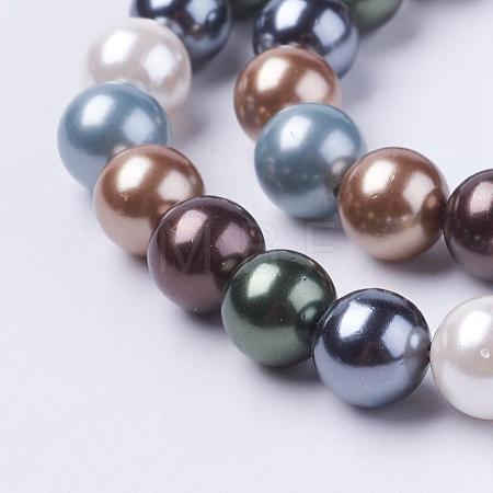 Shell Pearl Beads Strands BSHE-L035-6mm-I14-1