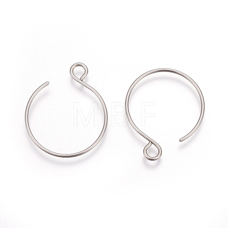 Tarnish Resistant 304 Stainless Steel Earring Hooks STAS-L216-02A-P-1