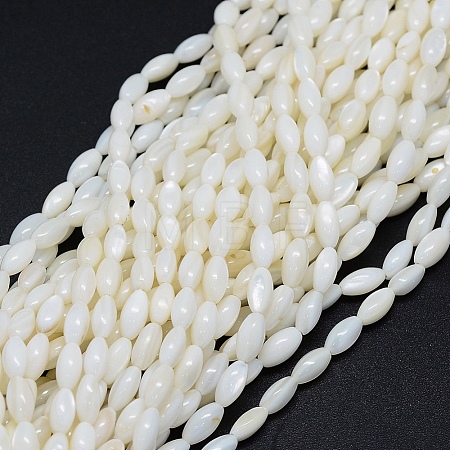 Dyed Natural Shell Beads Strands X-BSHE-E023-01C-1