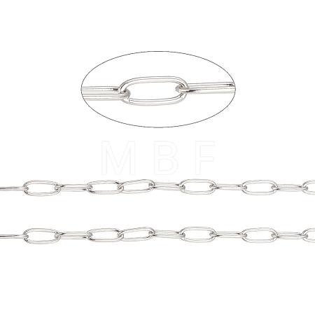 Tarnish Resistant 304 Stainless Steel Paperclip Chains CHS-F010-01I-P-1