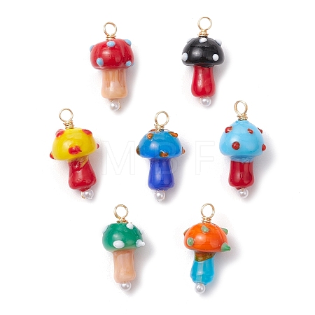 Handmade Lampwork Pendants PALLOY-JF03670-02-1