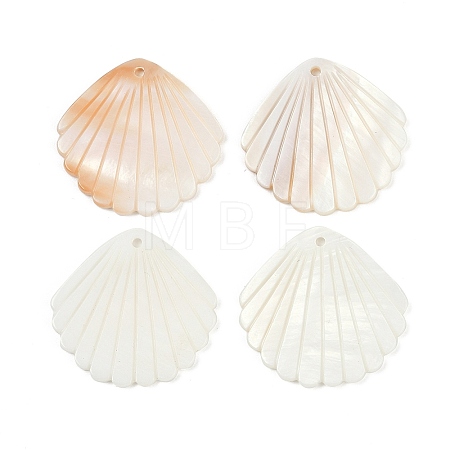 Natural Freshwater Shell Pendants SHEL-K006-45B-1