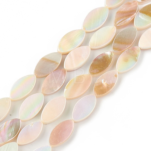 Natural Freshwater Shell Beads Strands X-SHEL-T009-22-1