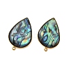 304 Stainless Steel Pave Natural Paua Shell Stud Earring Findings STAS-Z125-06G-2