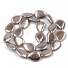 Electroplate Natural Freshwater Shell Beads Strands SHEL-R049-026C-2