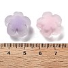 Frosted Transparent Acrylic Beads OACR-A032-25-3