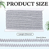Polyester Braided Lace Trim OCOR-WH0082-560A-2