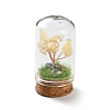 Natural Yellow Quartz Chips Money Tree in Dome Glass Bell Jars with Wood Base Display Decorations DJEW-K030-02H-1