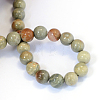 Natural Silver Leaf Jasper Round Bead Strands X-G-E334-6mm-04-3