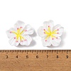 Resin Cabochons OACR-U002-03C-3