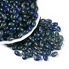 Glass Seed Beads SEED-T009-02L-2