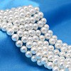 AB Color Plated Shell Pearl Round Bead Strands BSHE-L011-14mm-C001-1