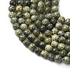 Natural Serpentine/Green Lace Stone Beads Strands G-Z116-A16-3mm-4