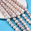 Natural Cultured Freshwater Pearl Beads Strands PEAR-I007-07S-01B-1