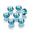 Handmade Glass European Beads LS-X-GPDL25Y-77-1