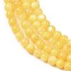 Dyed Natural Freshwater Shell Beads Strands SH-CBA2978-07C-01-2