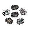 Natural Black Lip Shell Carved Leaf Beads BSHE-T014-31B-1