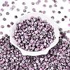 Picasso Glass Seed Beads SEED-N010-01K-2