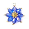 Glass Pendantns PALLOY-MZ01143-2
