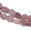 Natural Madagascar Rose Quartz Beads Strands G-Q060-E21-03-4