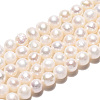 Natural Keshi Pearl Beads Strands PEAR-N013-04I-2