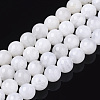 Natural Rainbow Moonstone Beads Strands G-S150-64-9mm-1