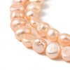 Natural Cultured Freshwater Pearl Beads Strands PEAR-P064-19J-01A-4