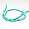 Natural Magnesite Beads Strands TURQ-G103-10mm-01-5