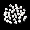 Natural Howlite Beads G-I395-B04-1
