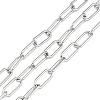 Tarnish Resistant 304 Stainless Steel Paperclip Chains CHS-F012-05P-1