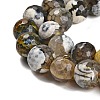 Natural Fire Crackle Agate Beads Strands G-L595-A02-01D-4