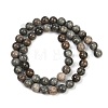 Natural Gemstone Beads Strands G-F792-C11-06-3