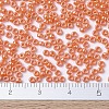MIYUKI Round Rocailles Beads X-SEED-G007-RR0424-4