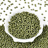 Baking Paint Pearlized Glass Seed Beads SEED-T007-21A-14-1