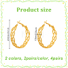 4 Pairs 2 Colors Iron Twist Hoop Earrings EJEW-HY0001-59-2