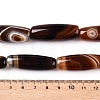 Natural Agate Dyed Beads Strands G-T138-230D-5