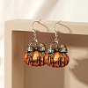 Acrylic Dangle Earrings FS-WGE7B92-01-2